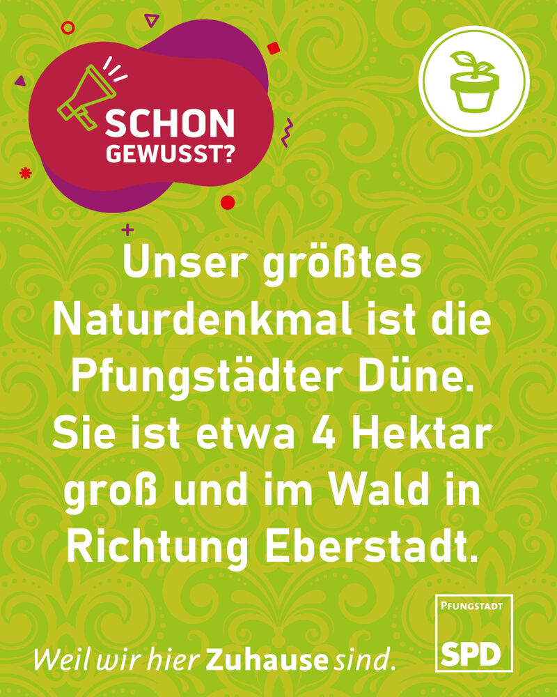SPD, Pfungstadt, Wahl, Kommunalwahl, Düne, Sahara, Eberstadt